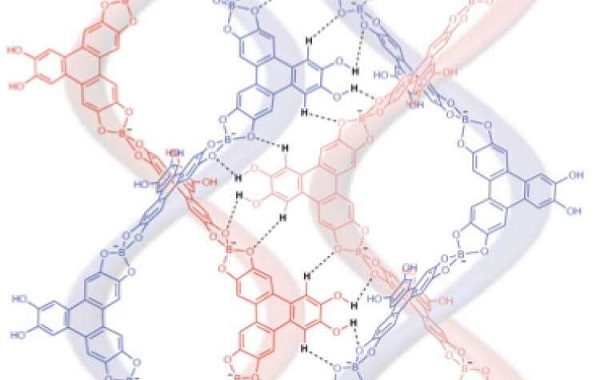 Scientists construct first-ever