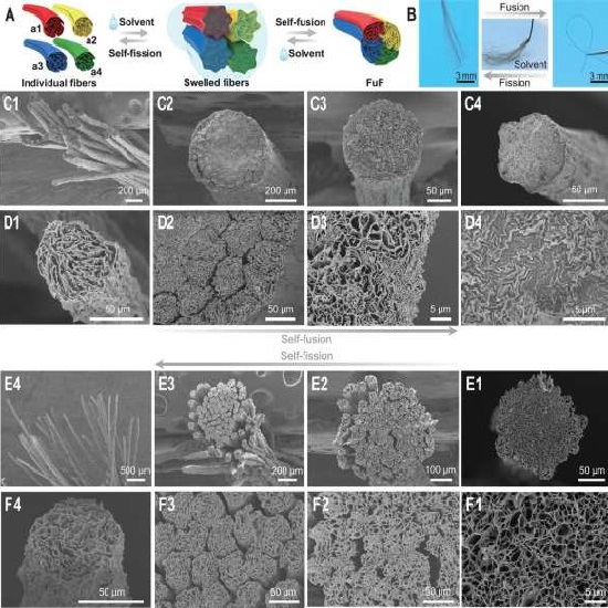 Self-generating yarn made