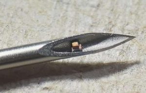 Tiny