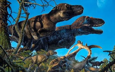 Kuzey Kutupta Dinozorlara Ait Tarih Öncesi 'Doğumhane' Bulundu