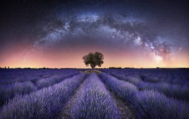 Samanyolunun Aydınlattığı Lavanta Tarlaları: Yılın Astrofotoğraf Yarışmasının Adayları