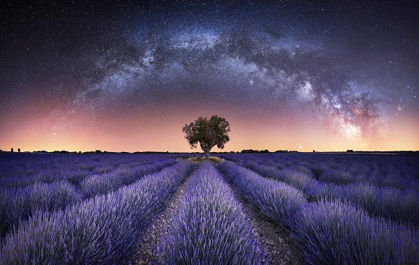 Samanyolunun Aydınlattığı Lavanta Tarlaları: Yılın Astrofotoğraf Yarışmasının Adayları