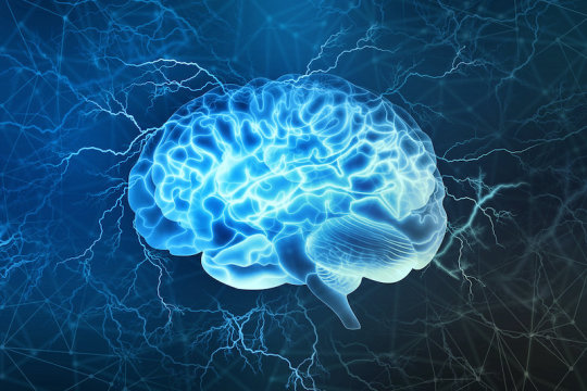 Study finds brain areas involved