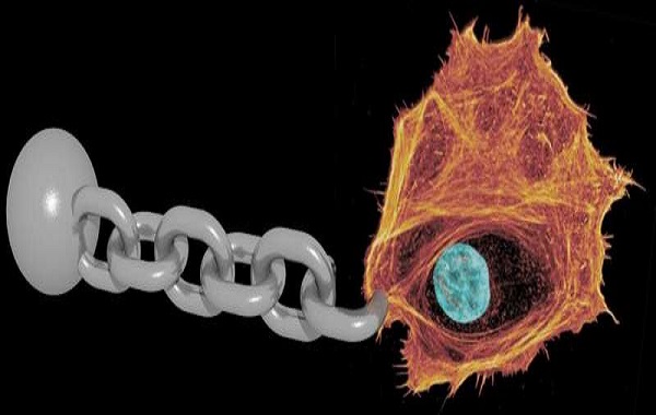 How to retard time for