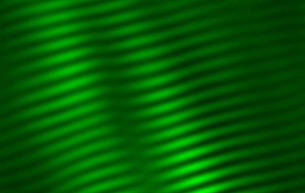 Muscle's smallest building blocks