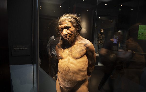 50.000 Yıl Önce İnsanlar ve Neandertaller Negev Çölü'nde Birlikte Yaşıyordu