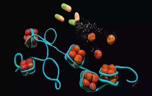 Rapamycin changes the way