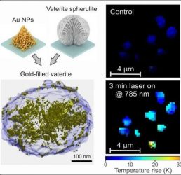 Researchers have turned transparent