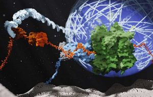 Studies reveal key process needed