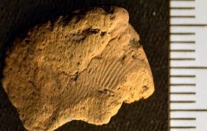 5000 Yıl Önce İki Genç Adam Bir Çömlek Yaptı, Parmak İzleri Eserde Bulundu