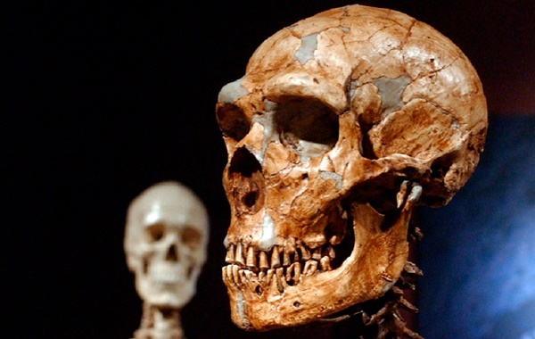 DNAmızın Sadece %7sinin