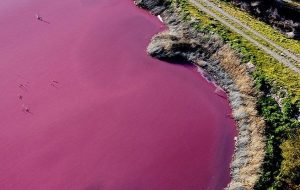 A Lagoon in Argentina Turned Bright Pink, But This Time The Reason Is Unnatural
