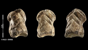 51000 Yıl Öncesi Neandertallerine Ait "Dünyanın En Eski Süsü" Keşfedildi