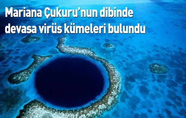 Mariana Çukurunun Dibinde