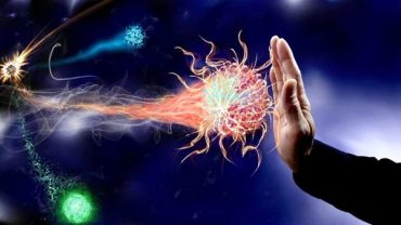 Biologists have solved the main secret of innate immunity