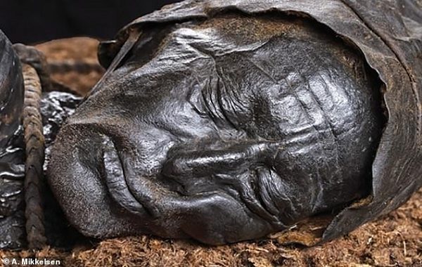 2400-Year-Old Natural Mummy Bog Man's Intestine Analysis Reveals His Last Meal