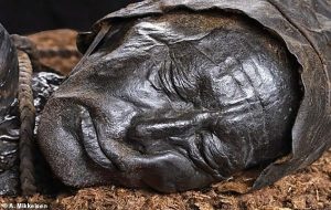 2400 Yıllık Doğal Mumya Bataklık Adamı'nın Bağırsak Analizi Son Öğününü Ortaya Çıkardı