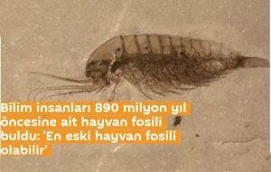 890 Milyon Yıl Öncesine