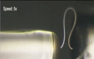 Esnek ve Bükülebilir