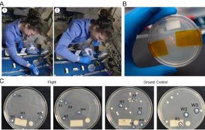 Astronotlar Uzayda Gen