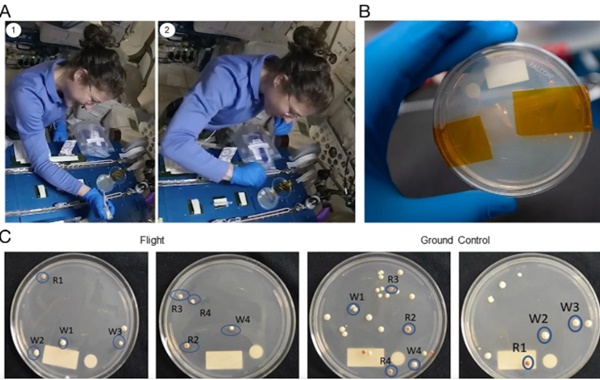 Astronotlar Uzayda Gen