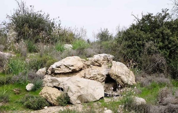 İsrail Askerleri İçin Termal Dedektörle Dahi Görünmez Çok Amaçlı Kamuflaj Geliştirildi
