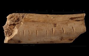 Neandertaller ve Diğer