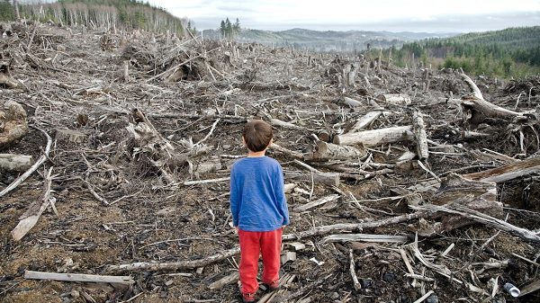 1972de Toplumun Çöküşüne İlişkin Tahmin 2040a Kadar Gerçekleşme Yolunda