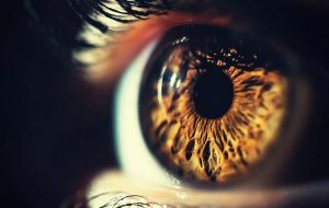 Yeni Optik İllüzyon, Parıldayan Işınlar Görmesi İçin Beyni Kandırıyor