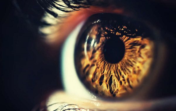 Yeni Optik İllüzyon, Parıldayan Işınlar Görmesi İçin Beyni Kandırıyor