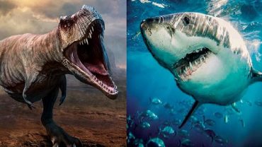 Nasıl Oldu da Köpek Balıkları Dinozorları Yok Eden Asteroit Felaketinden Zarar Görmeden Kurtuldu?