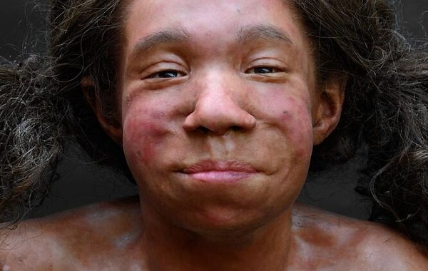 Neandertal Kanı, Neslinin Tükenmesinin Nedenini Gösteriyor
