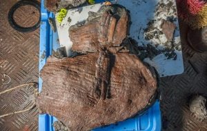 Bilim İnsanları Batık Şehirde 2.000 Yıldan Daha Eski Meyve Sepetleri Keşfetti