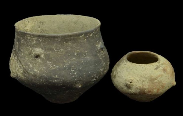 Genetic histories and social