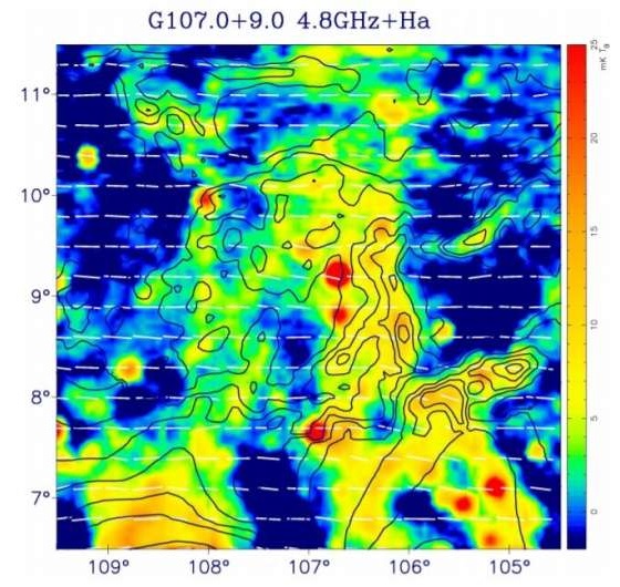 Study investigates radio