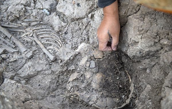 Tuncelideki Tozkoparan Höyük Kazılarında Bir Çocuk İskeleti Bulundu