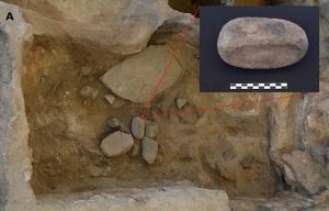 Çatalhöyükte Bitki İşleme