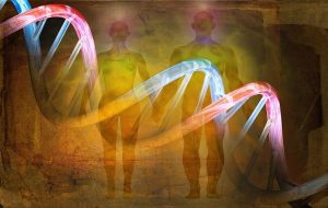 In a Gene Tied to Growth, Scientists See Glimmers of Human History