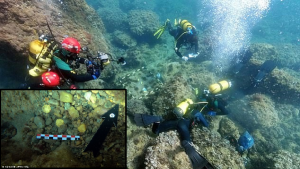 Amatör Dalgıçlar Deniz Yatağında Çöp Temizlerken Roma Hazinesi Buldu