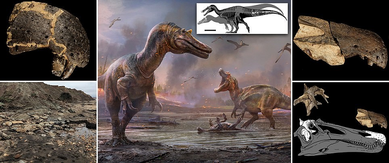 125 Milyon Yıllık Yeni Bir Dinozor Keşfi "Boynuzlu Timsah Yüzlü Cehennem Balıkçılı"