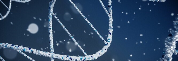 Yeni Araştırma: Bir İnsan Bir Nesneye Dokunmadan DNA'sını Nasıl Bırakabilir?