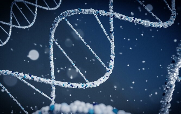 Yeni Araştırma: Bir İnsan Bir Nesneye Dokunmadan DNA'sını Nasıl Bırakabilir?
