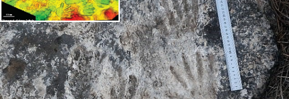 Tibet Platosundaki Keşif 226 Bin Yıl Öncesi Çocukların Bıraktığı Dünyanın En Eski Sanat Eseri