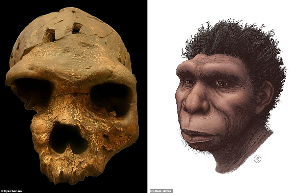 500.000 Yıl Önce Afrika'da Yaşamış ve Doğrudan Atamız Olan Antik İnsan Türü Tanımlandı