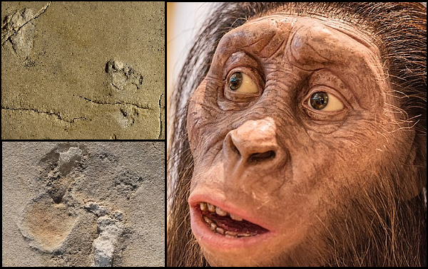 Girit Adasında Keşfedilen Ayak İzleri 6 Milyon Yıllık İnsan Öncesi Bir Türe Ait Çıktı