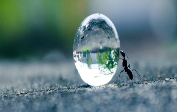 Beynimizin Binlerce Yıl