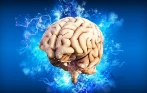Epilepsi Araştırmaları Nöbetlerdeki Bilinmeyen Tetikleyiciyi Ortaya Çıkardı