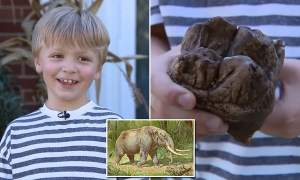 6 Yaşındaki Çocuğun Bulduğu Diş 12.000 Yıllık Bir Mamuta Ait Çıktı