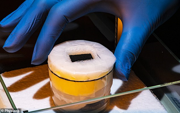 İnek Gübresi, Deniz Suyunu İçilebilir Hale Dönüştürmede Başarılıyla Kullanıldı