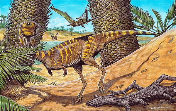 New Ceratosaur Species Unearthed in Brazil